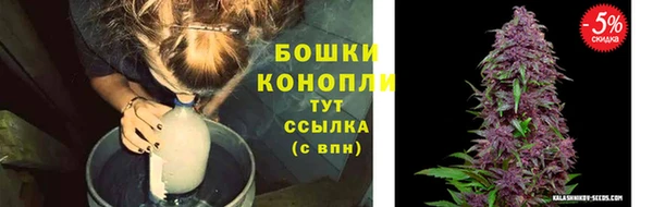 гидропоника Зеленокумск