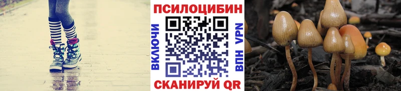 хочу   Тында  Галлюциногенные грибы прущие грибы 