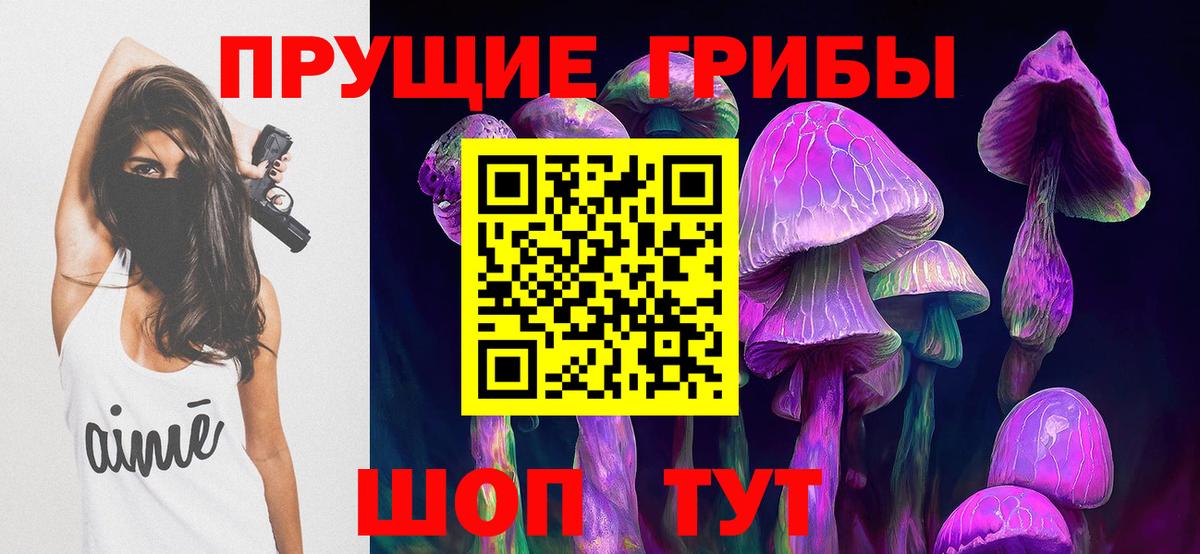 Тында  Галлюциногенные грибы Psilocybine cubensis  купить  сайты  Вход с VPN 